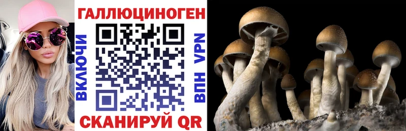 Псилоцибиновые грибы мицелий  Чехов 